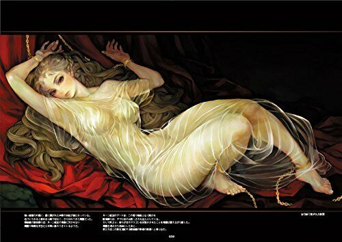 Kadokawa , Enterbrain Dragons Crown Art Book (Art Book) NEW from Japan_3