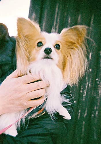 Gakken 35mm Film Twin-lens Reflex Camera Adult Science DIY Kit Magazine Book NEW_7