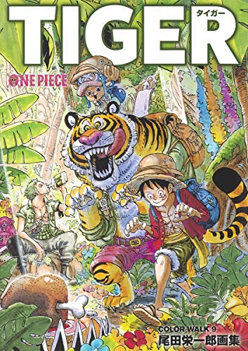 Shueisha ONE PIECE COLOR WALK 9 Illustration Book Eiichiro Oda Treasured edition_1