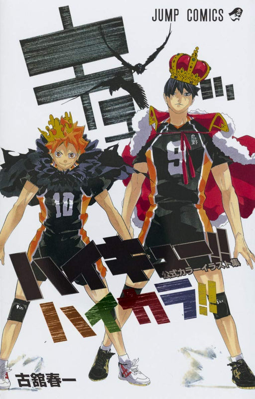 Shueisha Haikyu!! Official Illustrations Book Haikara Anime Manga Jump Comics_1