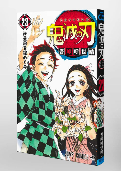 Demon Slayer: Kimetsu no Yaiba vol.23 Jump Comics Shueisha Koyoharu Gotoge NEW_6