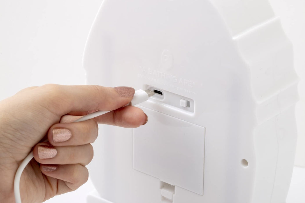 A Bathing Ape Room Light 2023 Spring Summer Collection Book BAPE Interior LED_4