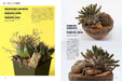 Bizarre Plant Habitat Style Succulent Cacti Potted Layout Cultivation (Book) NEW_2