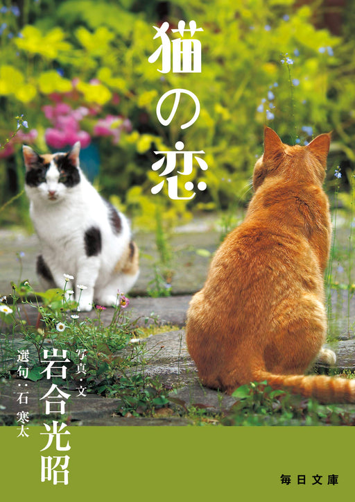 Neko no Koi Mitsuaki Iwago Mainichi Shinbun Publishing Cat Love Softcover NEW_1