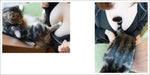 Genkosha Cat & Boobs Photo Collection Book Painyan Yuuki Aoyama (Photo Book) NEW_3