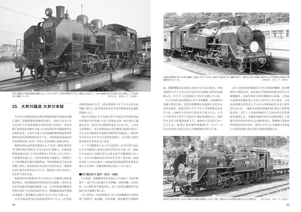 RM Library No.294 History of internal combustion locomotives on private railways_5