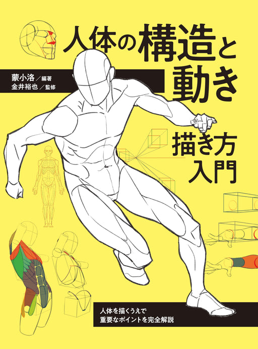 Hobby Japan Human body structure and movement. Introduction to drawing (Book)_1