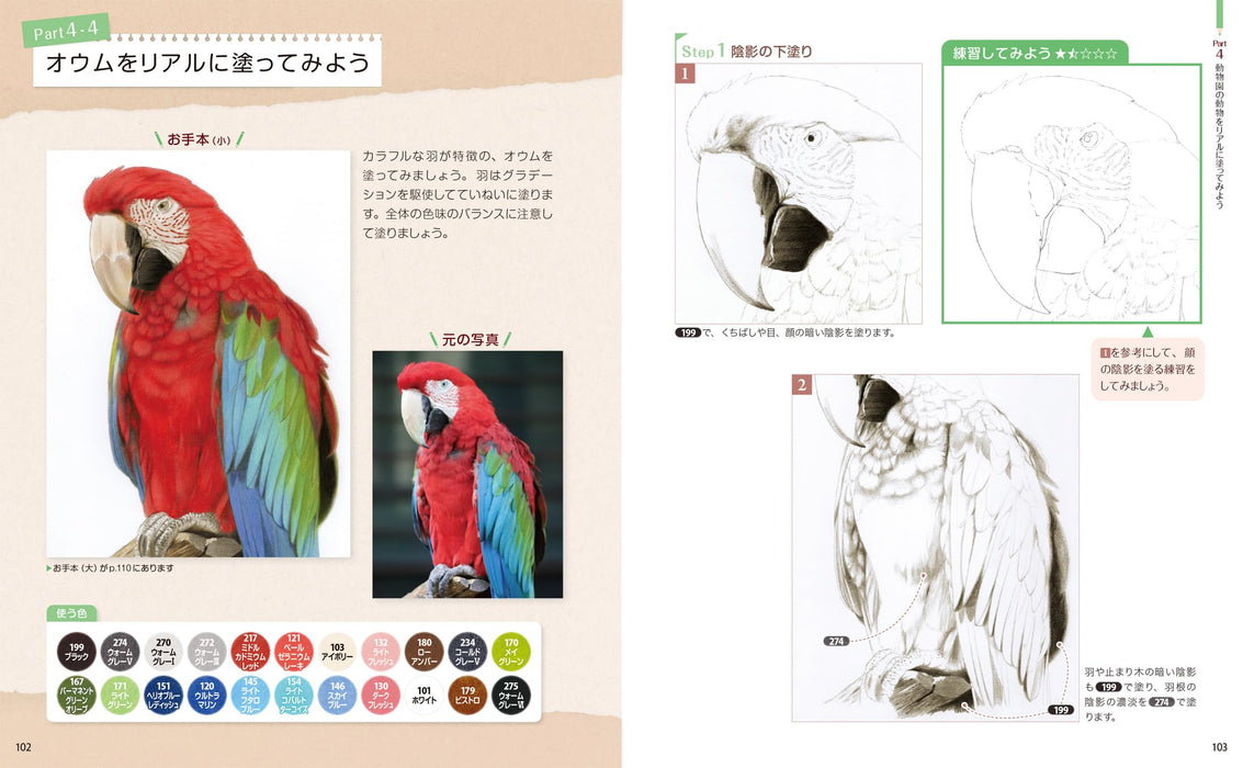Learn with coloring books, Techniques for drawing pictures of animals (Book) NEW_6