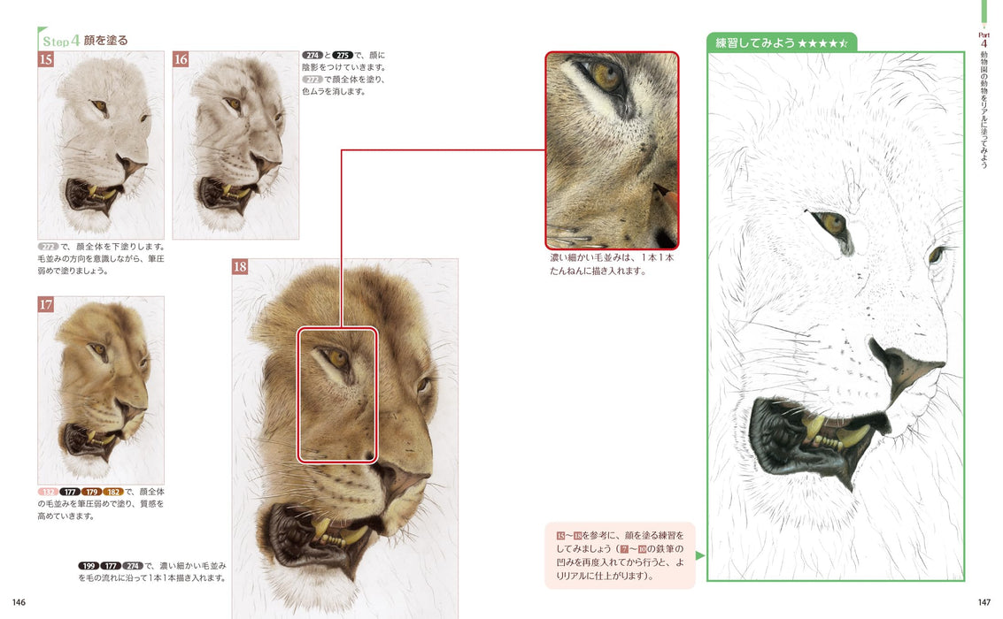 Learn with coloring books, Techniques for drawing pictures of animals (Book) NEW_8