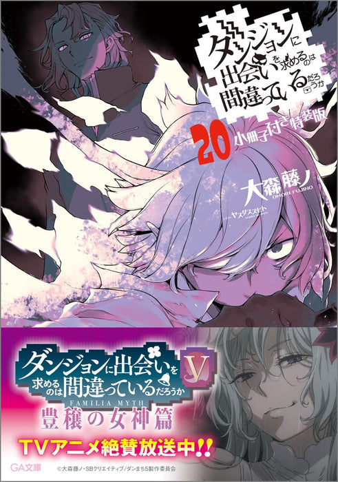 Is It Wrong to Try to Pick Up Girls in a Dungeon Vol.20 Limited Novel+Booklet_1