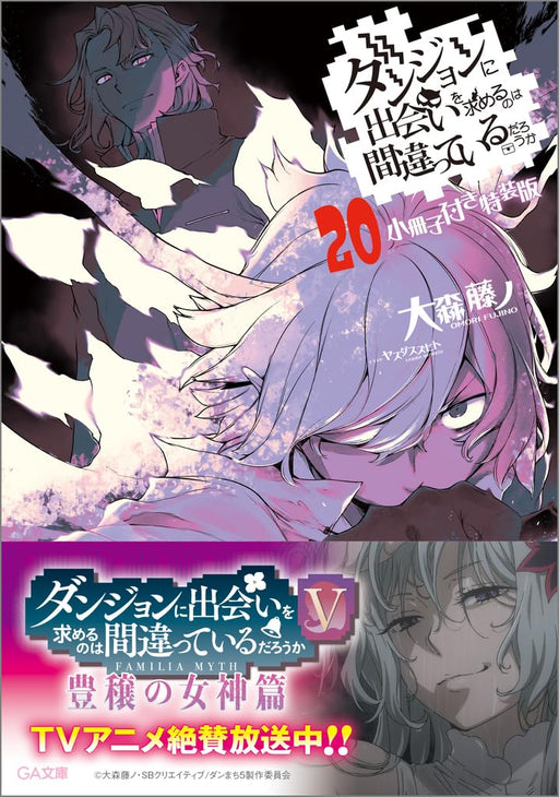 Is It Wrong to Try to Pick Up Girls in a Dungeon Vol.20 Limited Novel+Booklet_1