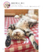 Heso-Ten Cat (book) Sumuzou Photo collection of cats sleeping on their backs NEW_6