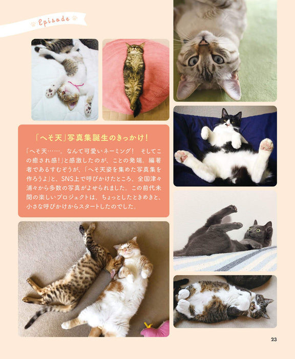 Heso-Ten Cat (book) Sumuzou Photo collection of cats sleeping on their backs NEW_7