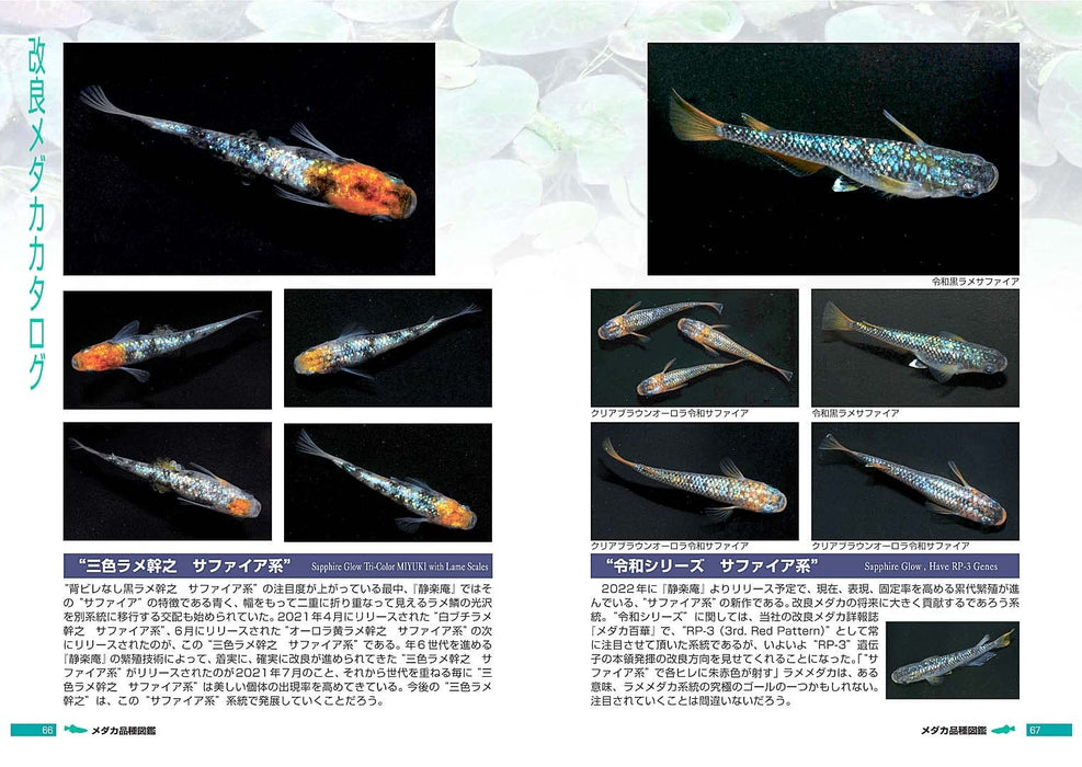 Pisces Medaka Variety Guide: Improved Medaka (Book) Soft Cover Fumitoshi Mori_4