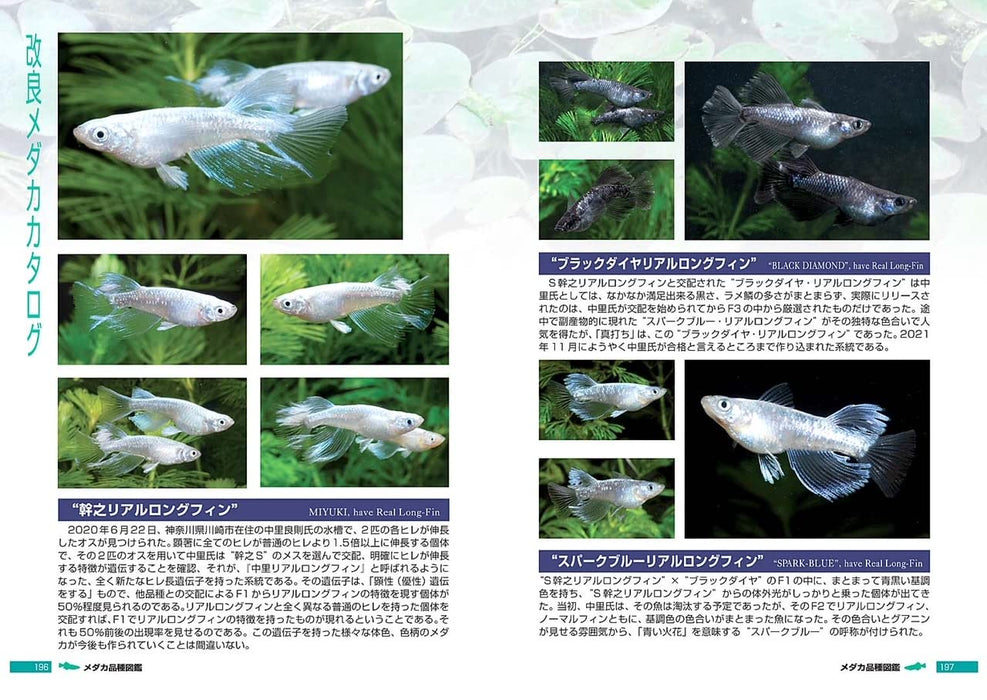 Pisces Medaka Variety Guide: Improved Medaka (Book) Soft Cover Fumitoshi Mori_6