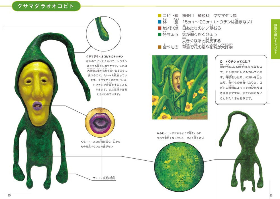 Kobito Zukan Encyclopedia Japanese Guide Book Kobito-Zukan Wildlife Roclin NEW_3