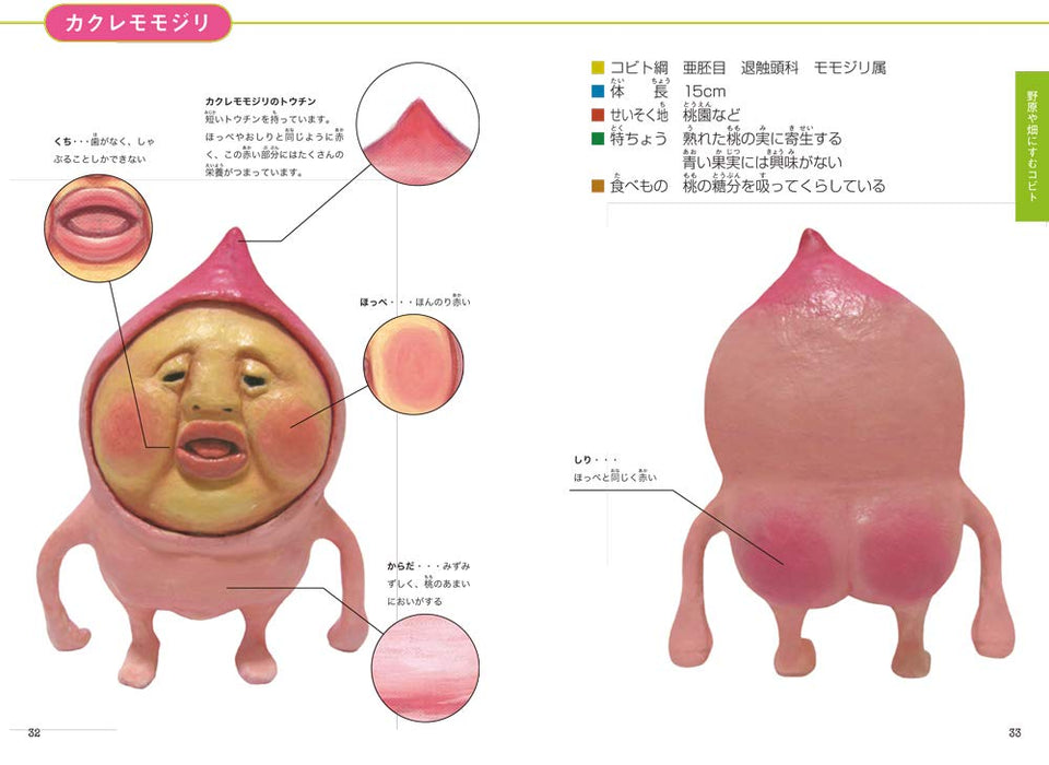 Kobito Zukan Encyclopedia Japanese Guide Book Kobito-Zukan Wildlife Roclin NEW_5