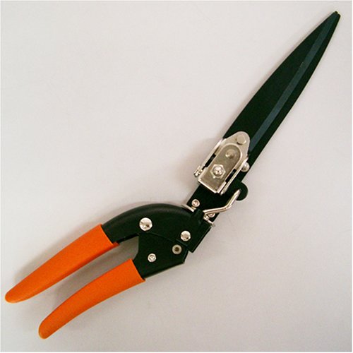 Kinboshi Golden Star Scissors Rotary Lawn Scissors contemporary 2104 Steel Blade_3