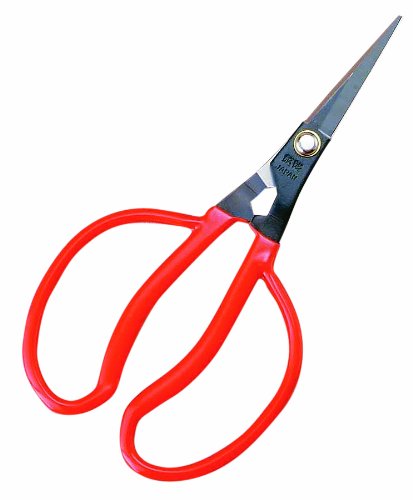 Koshiji Grape Thinning Scissors K-22 48mm Carbon Steel Blade 62g Thin Tip NEW_1