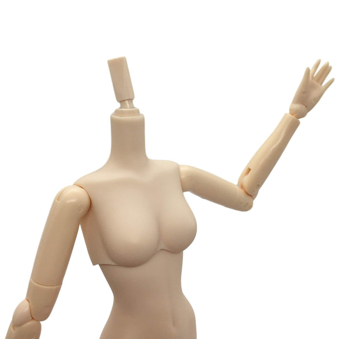 Obitsu Doll 27cm Obitsu Body Female SBH Bust Size S Whitey SoftVinyl 27BD-F05W_2