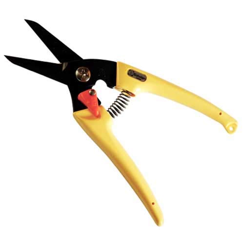 Saboten Ladies Pruning Shears for Detailed Work Yellow 180mm Compact Size NEW_2