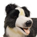 Canal Hansa Border Collie L85cm Plush Doll Acrylic fur Realistic Animal Doll NEW_4