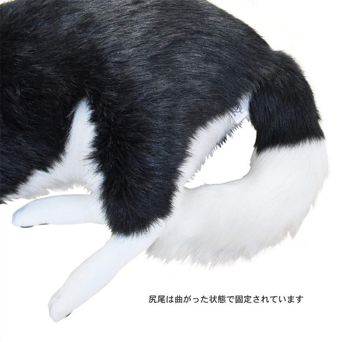 Canal Hansa Border Collie L85cm Plush Doll Acrylic fur Realistic Animal Doll NEW_8