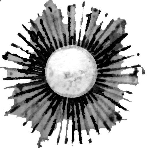 [CD] GHIBLI MEETS JAZZ BEAUTIFUL SONGS Nomal Ed. Kazumi Tateishi Trio VICL-63644_4