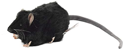 HANSA Plush Doll Black Rat Toy W5xH6xD12cm ‎190444 Real Animal Design Plush Doll_1