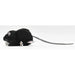 HANSA Plush Doll Black Rat Toy W5xH6xD12cm ‎190444 Real Animal Design Plush Doll_2