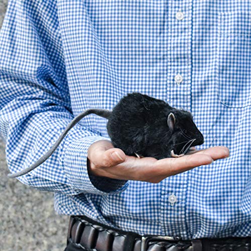 HANSA Plush Doll Black Rat Toy W5xH6xD12cm ‎190444 Real Animal Design Plush Doll_7