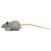 Hansa Gray Rat Plush Doll No.5579 12cm Real Design Animal Plush Doll ‎190445 NEW_2