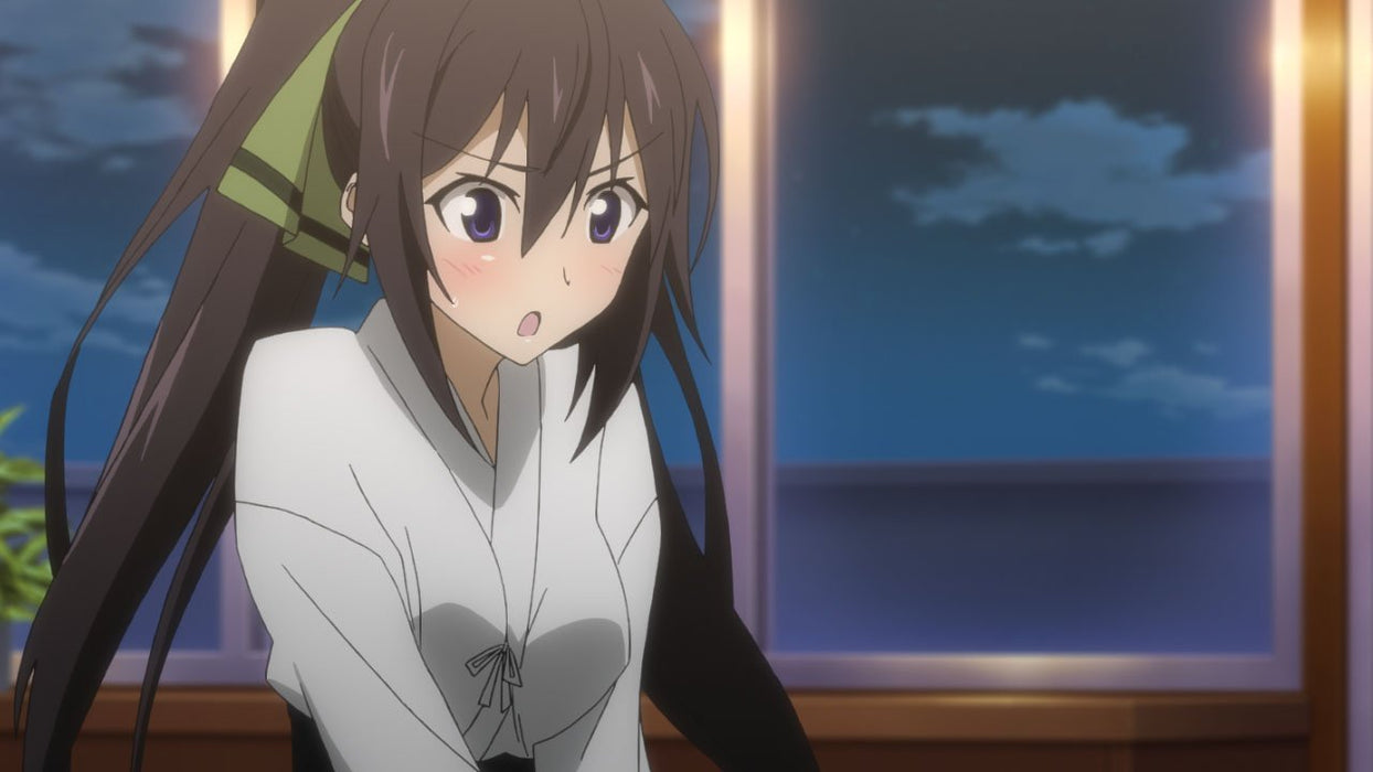 [Blu-ray+CD] IS Infinite Stratos Vol.1 First Limited Edition w/Novel ZMXZ-7041_3