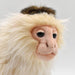 HANSA capuchin monkey No.5851 20cm BH5851 Acrylic Stuffed Amimal 190453 NEW_4