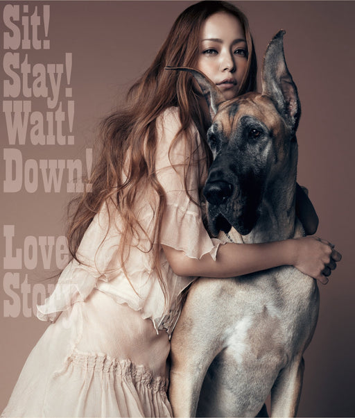 [CD] Sit! Stay! Wait! Down!/ Love Story Nomal Edition Namie Amuro AVCD-48268 NEW_1