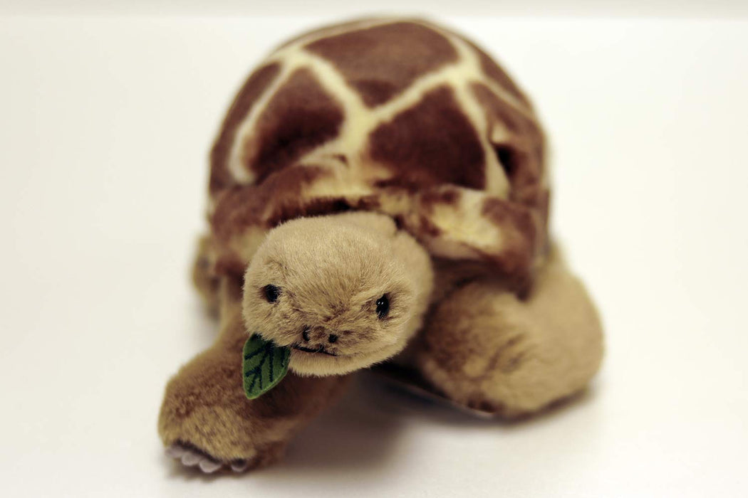 Yoshitoku tortoise Plush Doll M size 21.1x12.2x11.2cm ‎180252 Brown Polyester_3