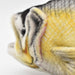 HANSA Seabass No.6052 Real Design Animal Plush Doll L35cm Unisex Kids Acrylic_6