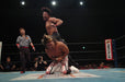 Shinsuke Nakamura 10th anniversary commemorative DVD-BOX 2-disc TCED-1523 NEW_2