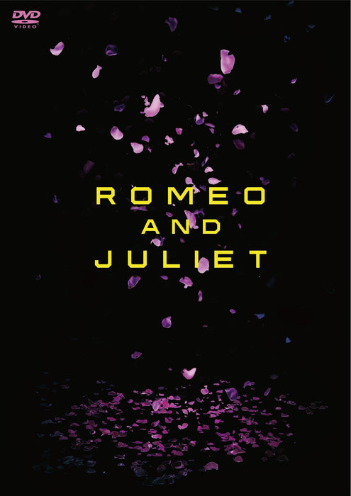 Takeru Sato romeo & juliet [2DVD] Standard Edition ASBY-5364 Japanese Play Stage_3