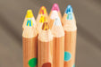 KOKUYO color pencil 20 mixed color KE-AC2 Picture Book Arts and Crafts Series_3