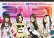 [DVD] 2012 1st Global Tour NEW EVOLUTION in Japan Standard Ed. 2NE1 AVBY-58133_1