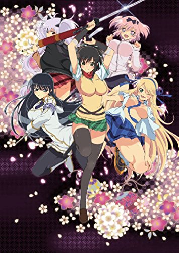 Senran Kagura Volume 1 [DVD+CD] Standard Edition ZMBZ-8431 Girls' Action NEW_1
