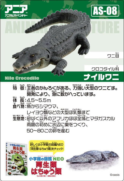 Takara Tomy Ania AS-08 Nile Crocodile Figure ‎487982 Real Design Animal Figure_4
