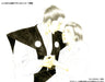 OOOKU EIEN EMONNOSUKE.TSUNAYOSHI HEN DANJO GYAKUTEN GOUKA BAN SHBR-157 Drama NEW_6
