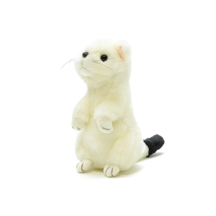 AQUA Plush Doll Nature Okojo Ermine S size 00100014 Polyester, Acrylic, Plastic_1