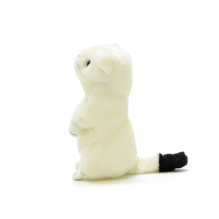 AQUA Plush Doll Nature Okojo Ermine S size 00100014 Polyester, Acrylic, Plastic_3