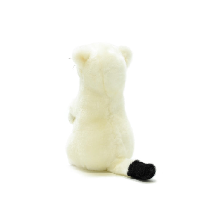 AQUA Plush Doll Nature Okojo Ermine S size 00100014 Polyester, Acrylic, Plastic_4