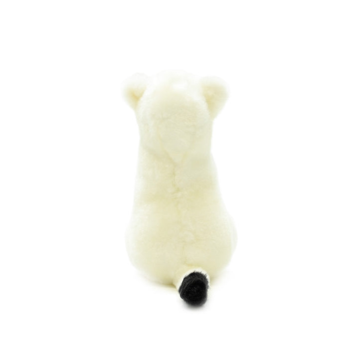 AQUA Plush Doll Nature Okojo Ermine S size 00100014 Polyester, Acrylic, Plastic_5
