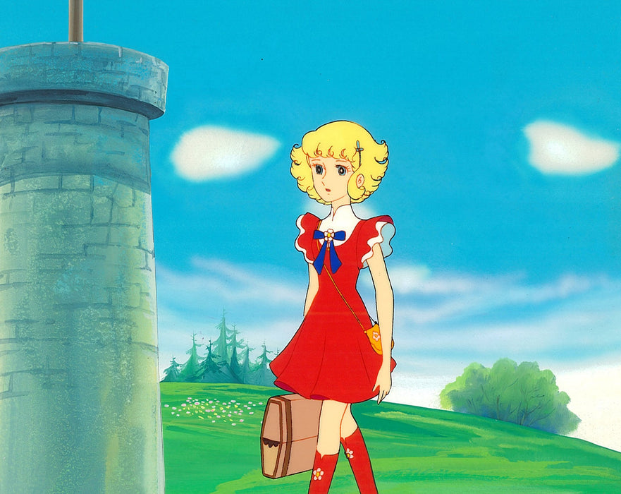 HANA NO KO RUNRUN DVD-BOX DIGITAL REMASTER BAN PART 2 BFTD-79 Animation NEW_3