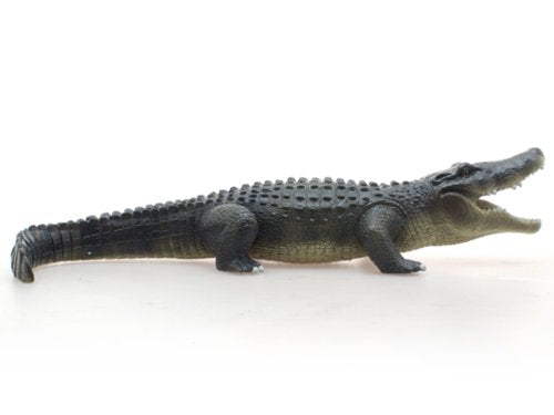 American Alligator Vinyl Model FA-306 Realistic Animal Figure Authentic details_2